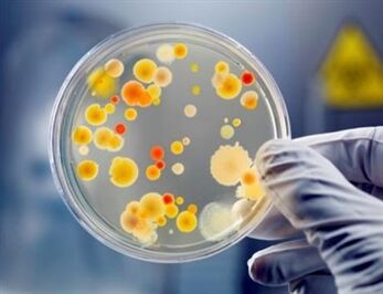 Baktérie môžu spôsobiť chronickú prostatitídu