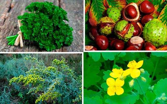 bylinky na liečbu prostatitídy